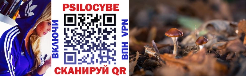 мега tor  Плёс  Псилоцибиновые грибы MAGIC MUSHROOMS 